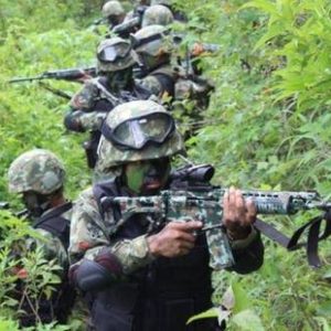 Kontak Senjata dengan TNI, 14 Anggota OPM Tewas di Intan Jaya