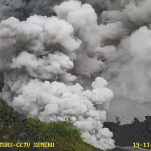 Gunung Semeru Meletus, 178 Pendaki yang Terjebak Dilaporkan Selamat