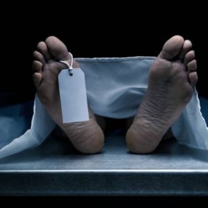 Sadis! Pria di Manokwari Mutilasi Istri Pegawai Pajak Lalu Dikubur di Septic Tank