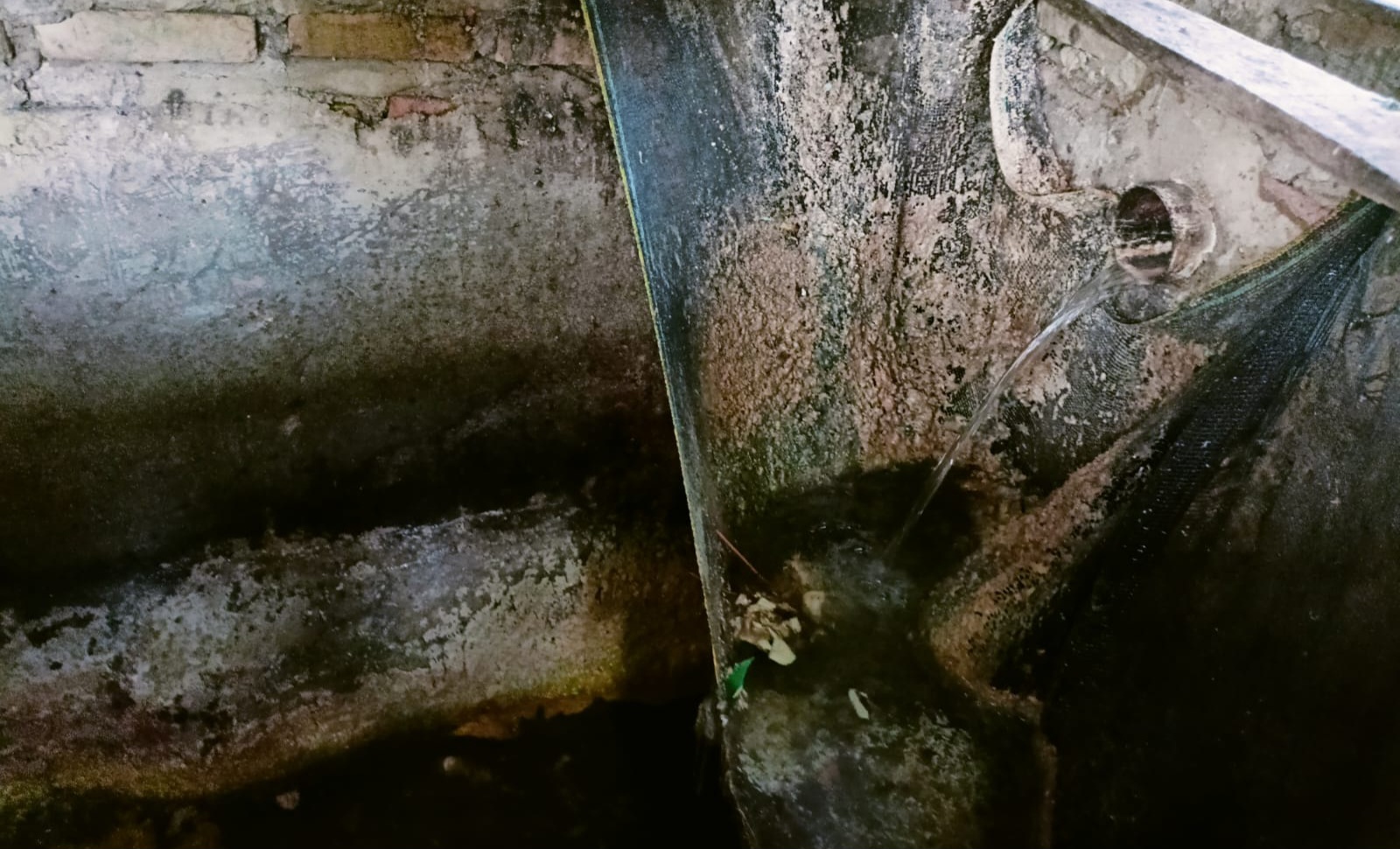 Dapur MBG SPPG Kedaton 1 Diduga Cemari Lingkungan, Warga Keluhkan Bau Busuk dan Limbah Cair
