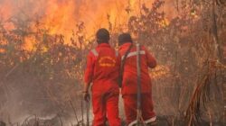 Polri Tetapkan 72 Tersangka Karhutla di Kalimantan-Sumatra