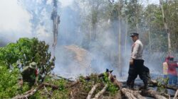Kebakaran Lahan 5 Hektare di Koltim, Polisi Selidiki Penyebabnya