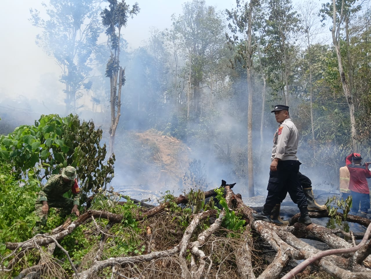 Kebakaran Lahan 5 Hektare di Koltim, Polisi Selidiki Penyebabnya